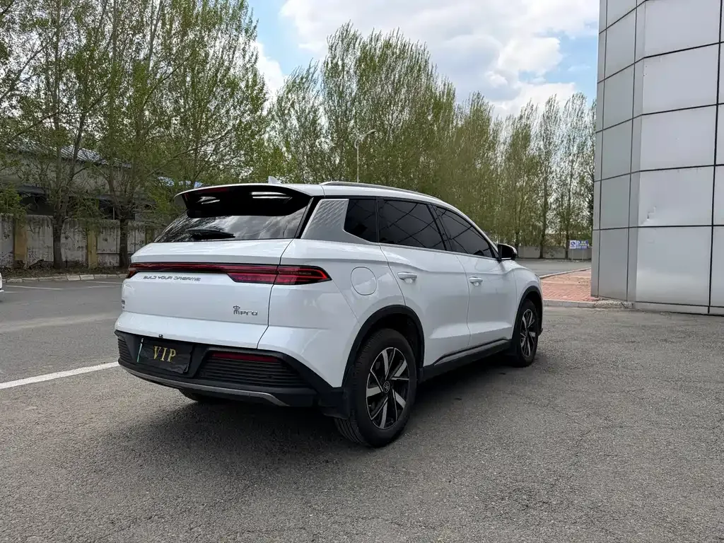 BYD Pro New Energy 2024 из CN, фото 10