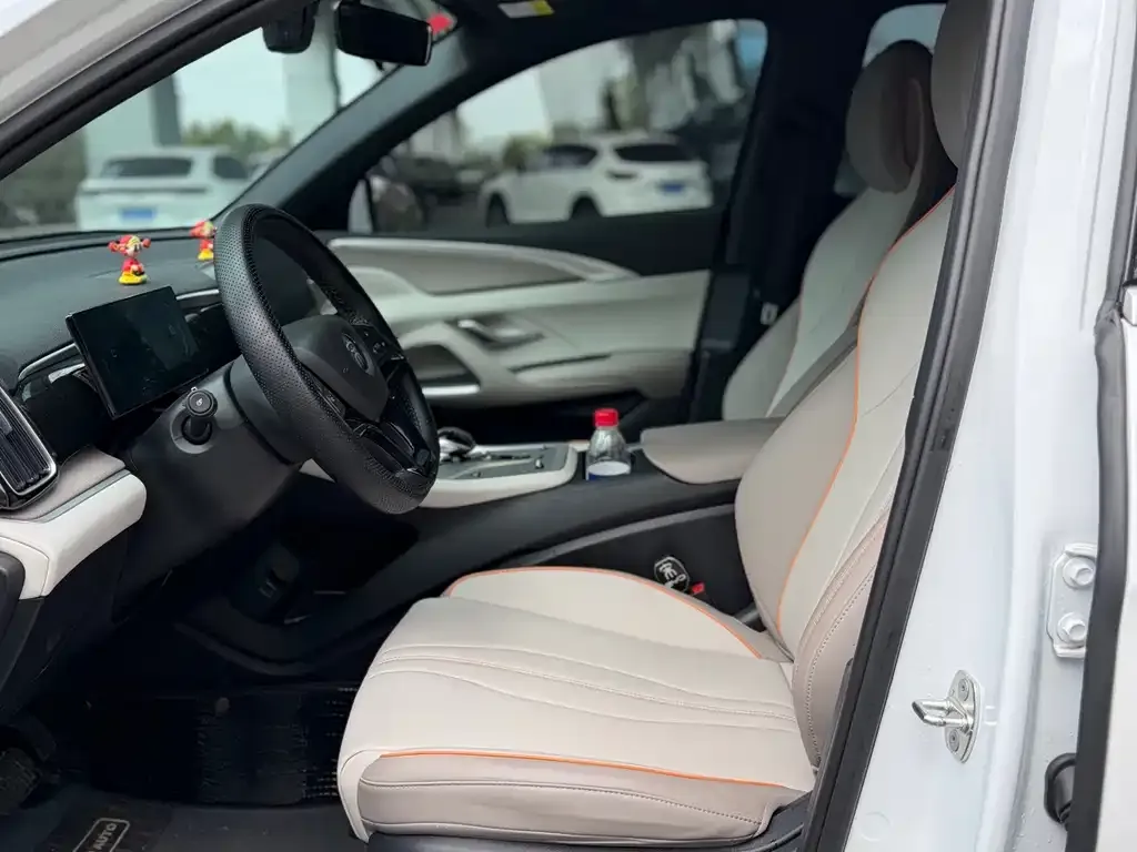 BYD Pro New Energy 2024 из CN, фото 5