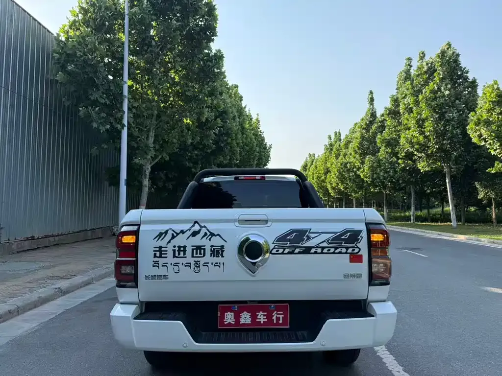 Great Wall King Kong Pao 2024 из CN, фото 8