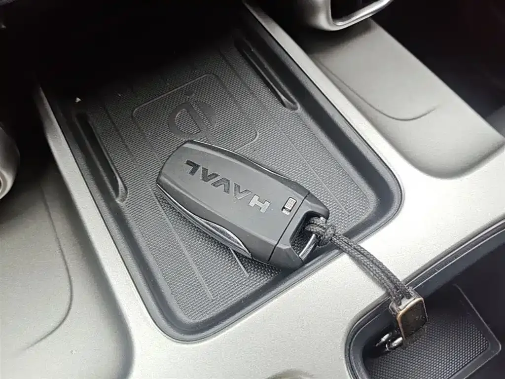 Haval Big Dog 2023 из CN, фото 10