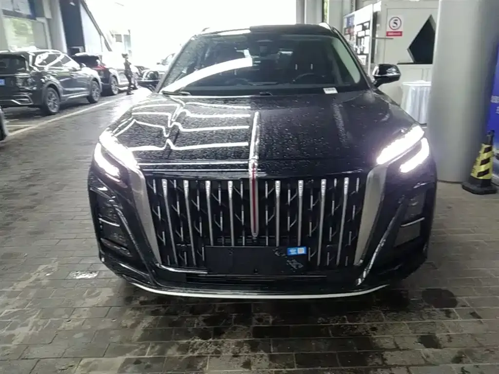 Hongqi HS3 PHEV 2024 из CN, фото 7
