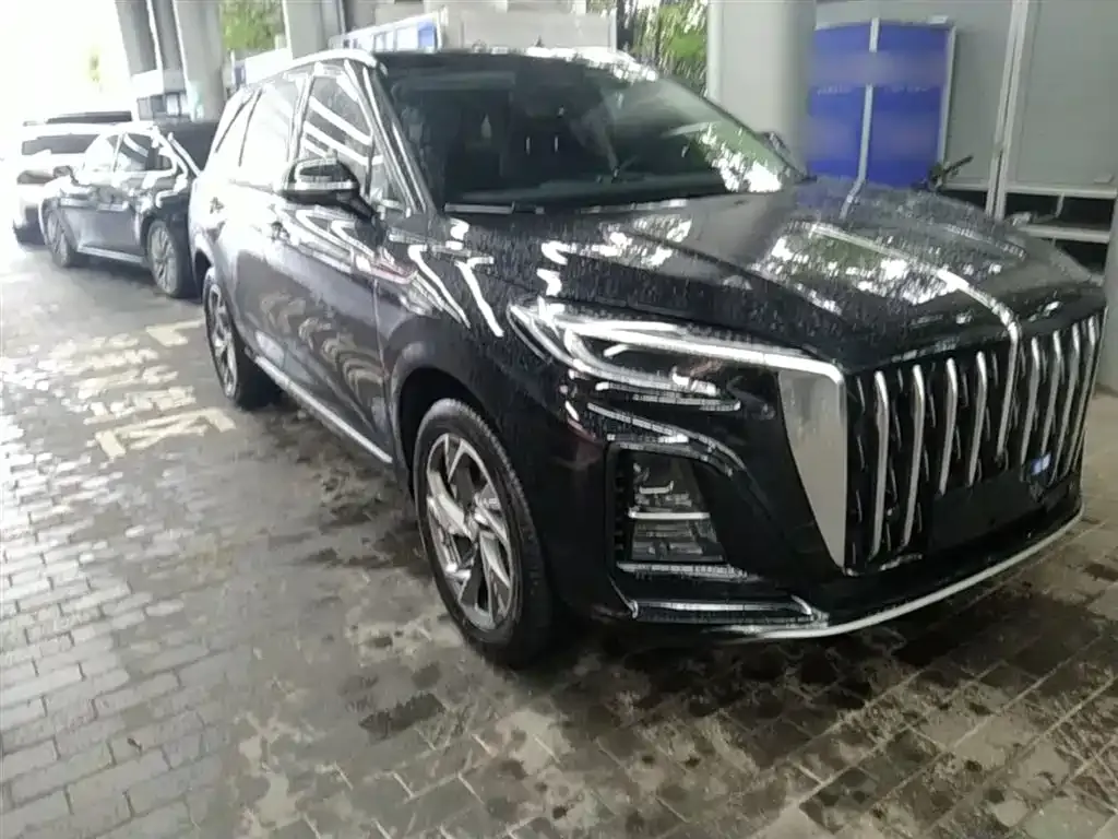 Hongqi HS3 PHEV 2024 из CN, фото 9