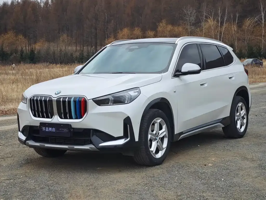 BMW X1 — фото 1