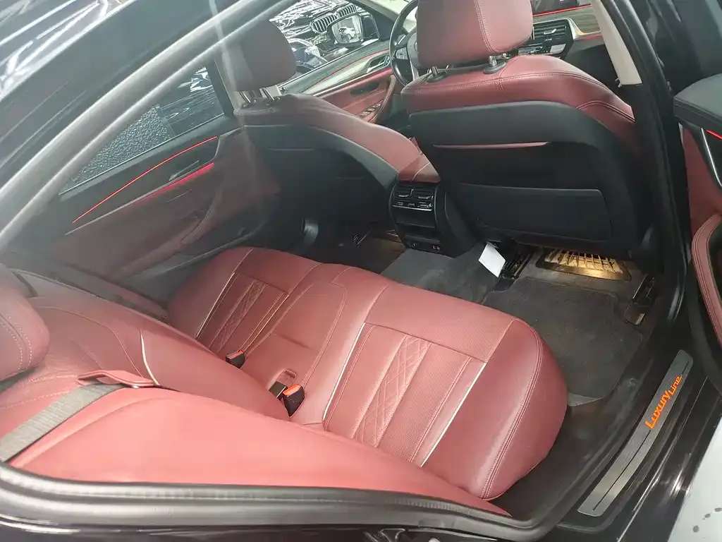 BMW 5 Series New Energy 2021 из CN, фото 10