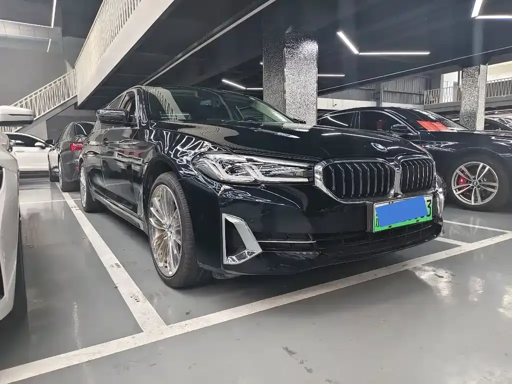 BMW 5 Series New Energy 2021 из CN, фото 8