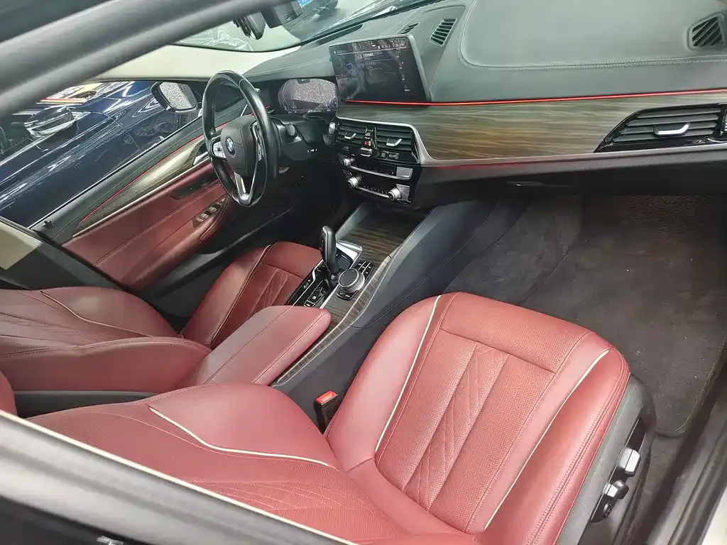 BMW 5 Series New Energy 2021 из CN, фото 6