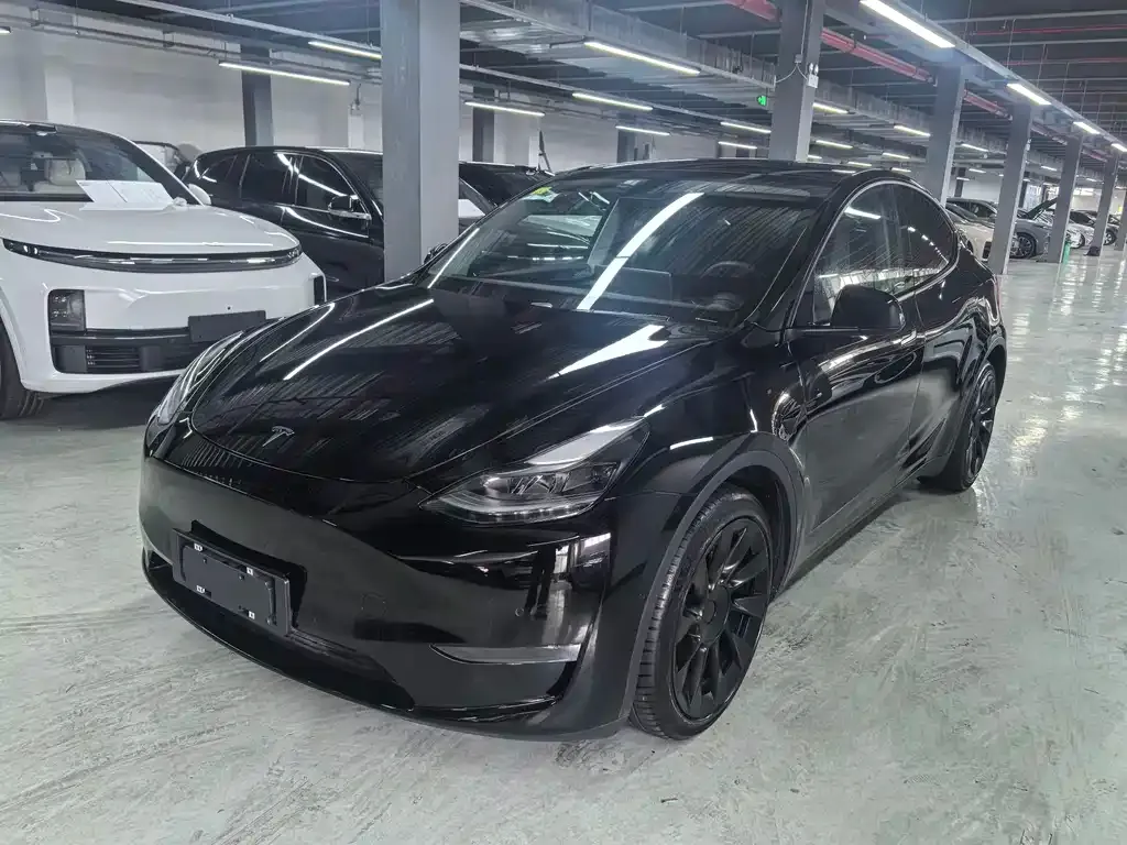 Tesla Model Y 2021 из CN, фото 1