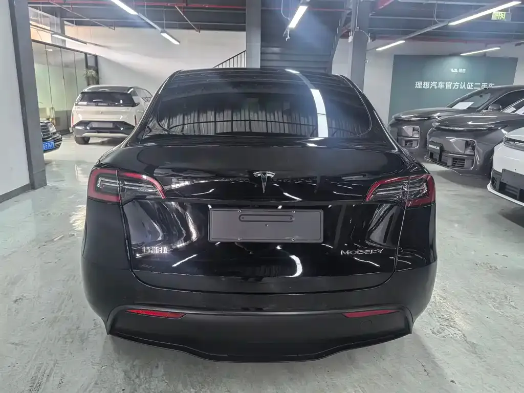 Tesla Model Y 2021 из CN, фото 9