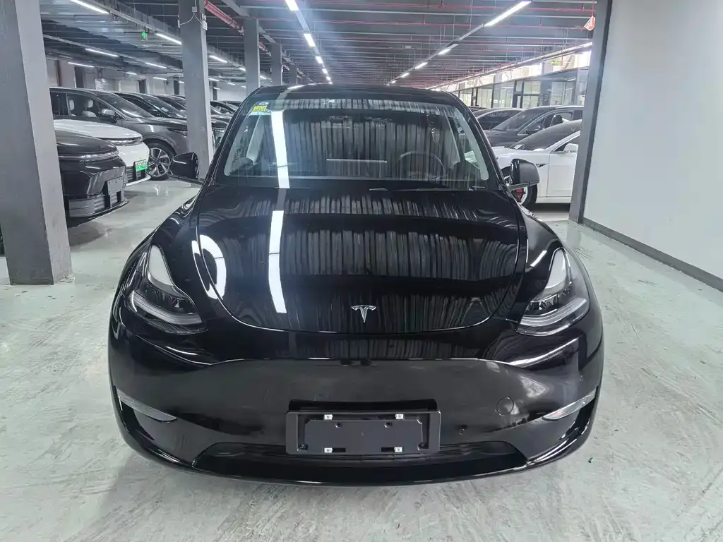 Tesla Model Y 2021 из CN, фото 7