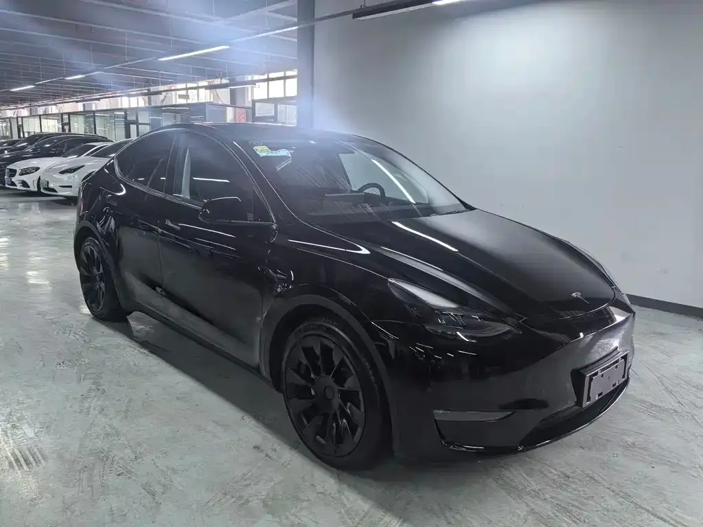 Tesla Model Y 2021 из CN, фото 10