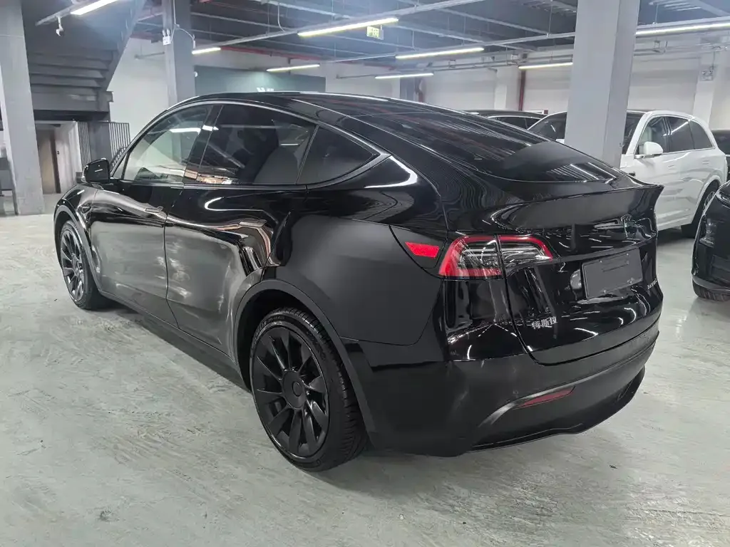 Tesla Model Y 2021 из CN, фото 6