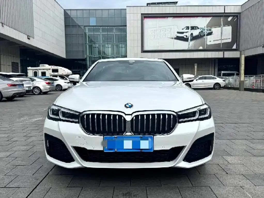 BMW 5 Series 2022 из CN, фото 4