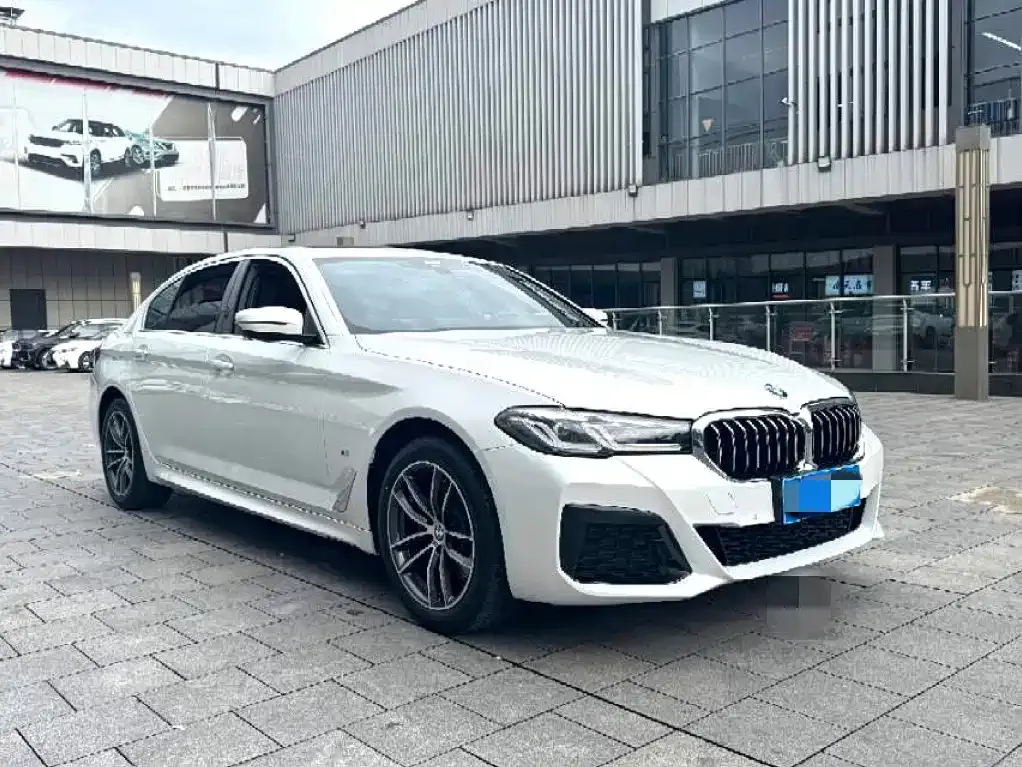 BMW 5 Series 2022 из CN, фото 8