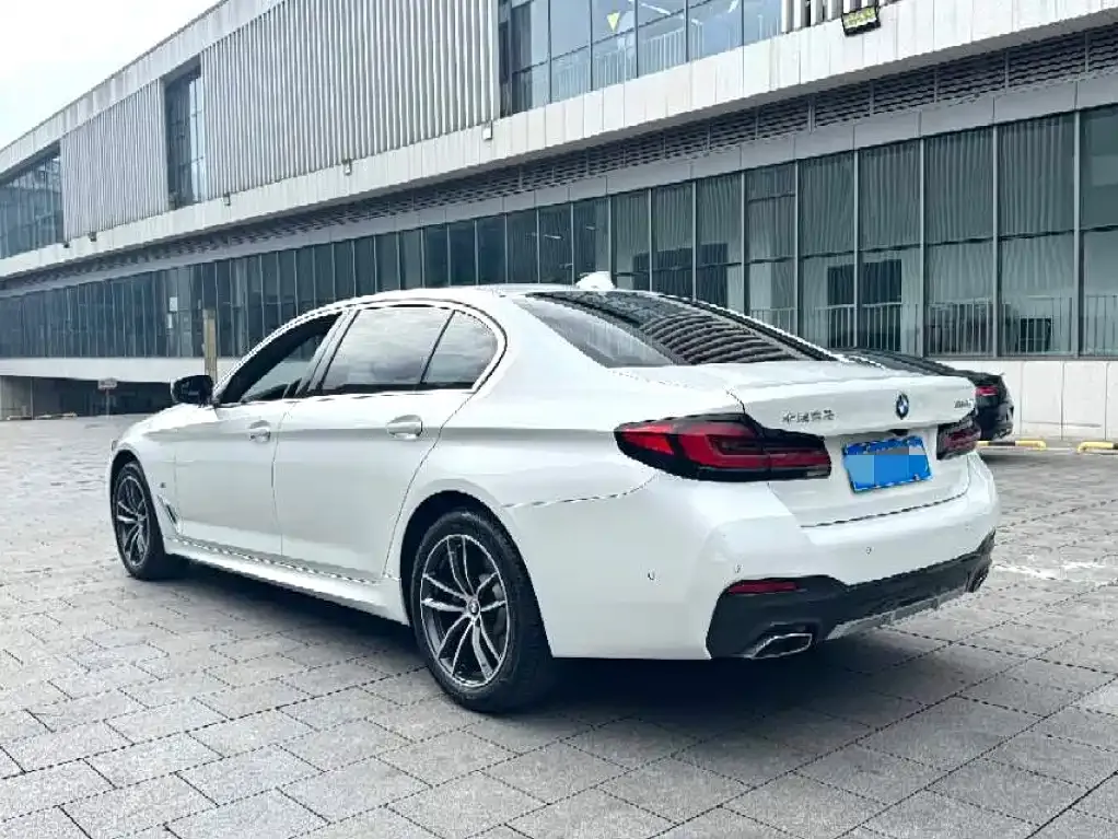 BMW 5 Series 2022 из CN, фото 3