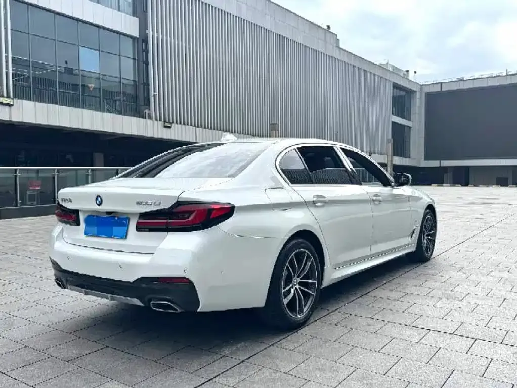 BMW 5 Series 2022 из CN, фото 9