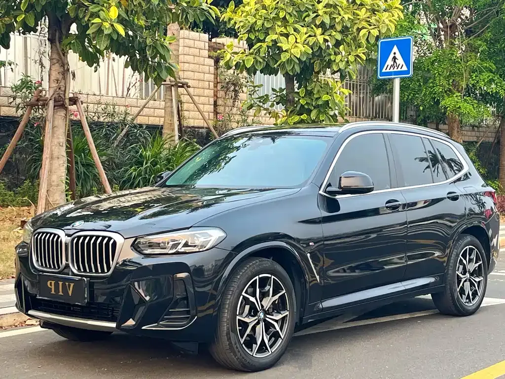 BMW X3 — фото 1