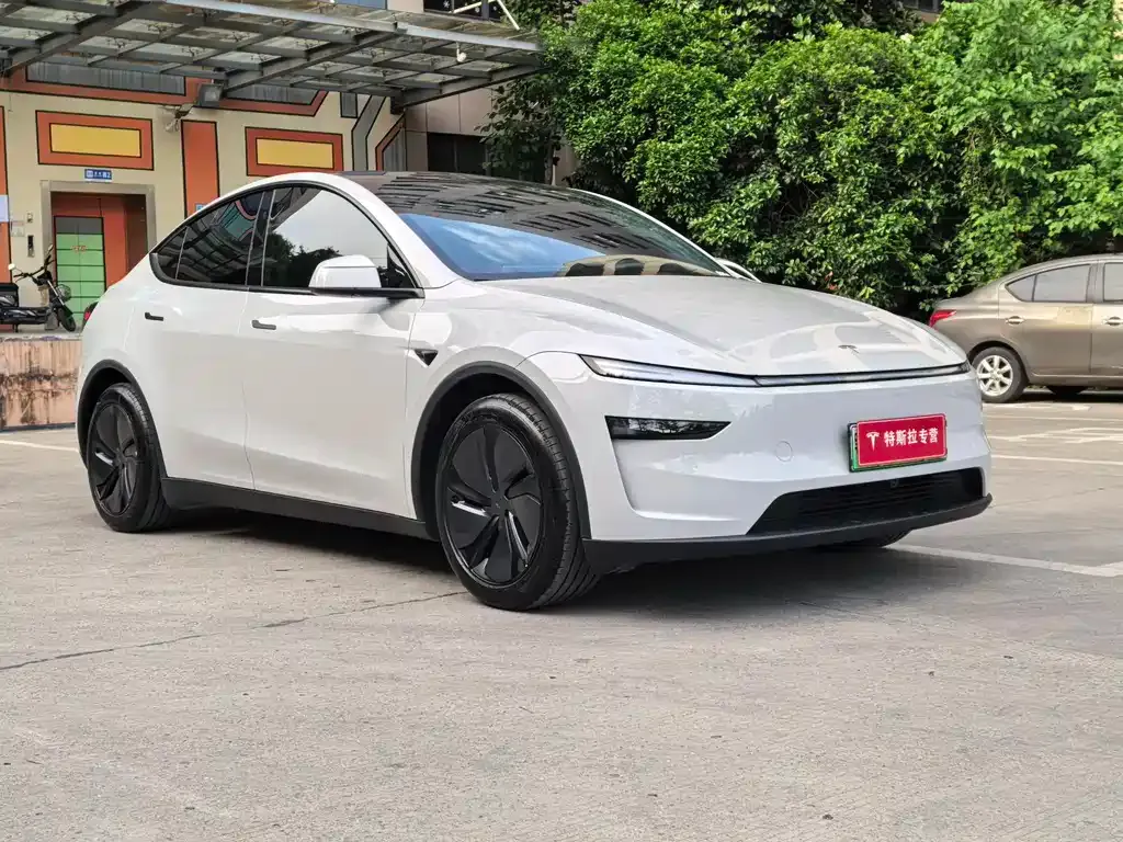 Tesla Model Y — фото 5