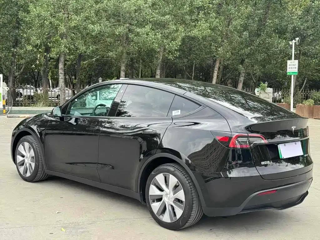Tesla Model Y — фото 10