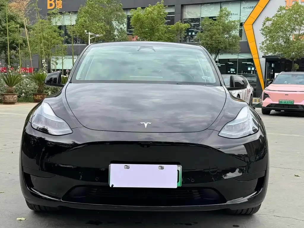 Tesla Model Y — фото 9
