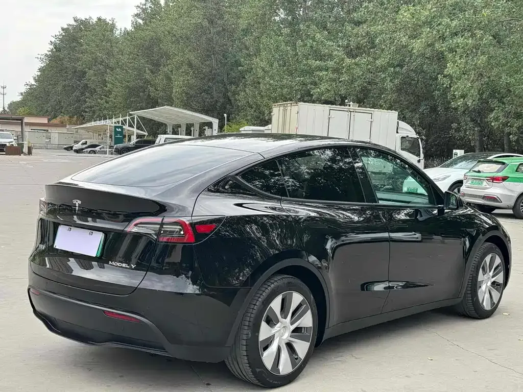 Tesla Model Y — фото 8