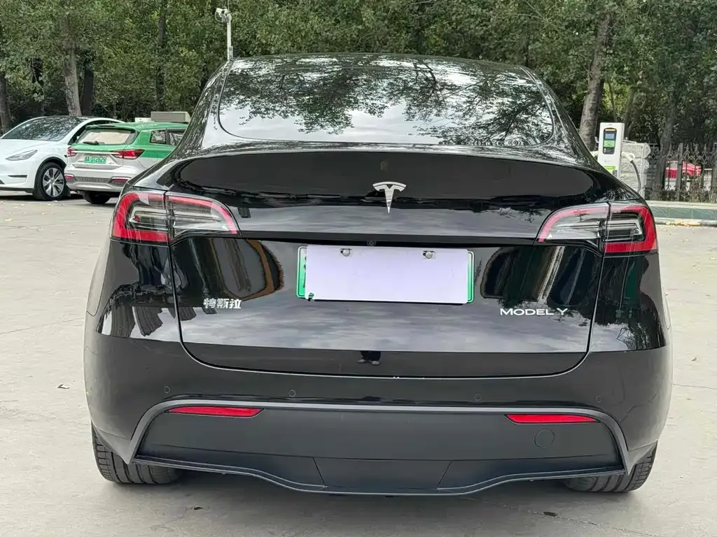 Tesla Model Y — фото 7