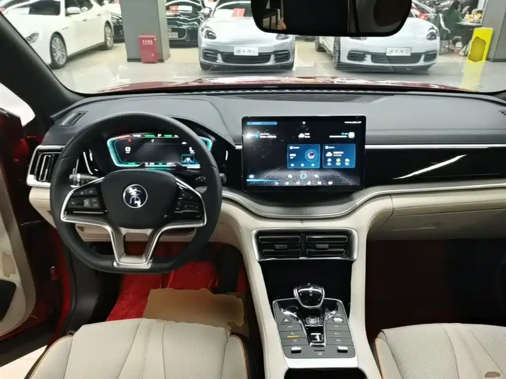 BYD PLUS New Energy — фото 10