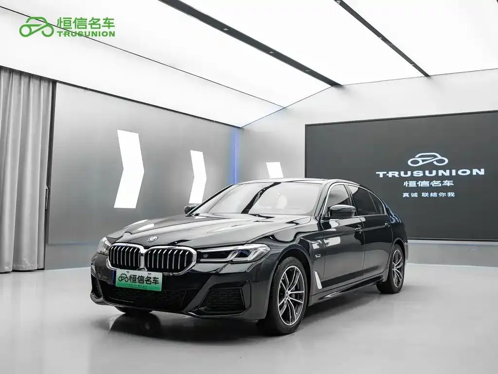 BMW 5 Series New Energy — фото 1