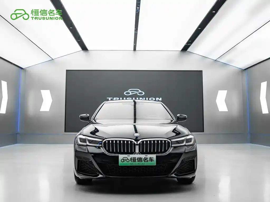 BMW 5 Series New Energy — фото 6