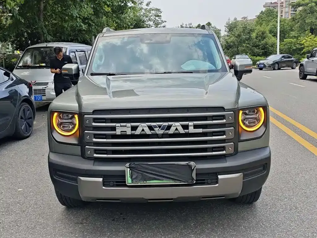 Haval Menglong New Energy 2024 из CN, фото 2