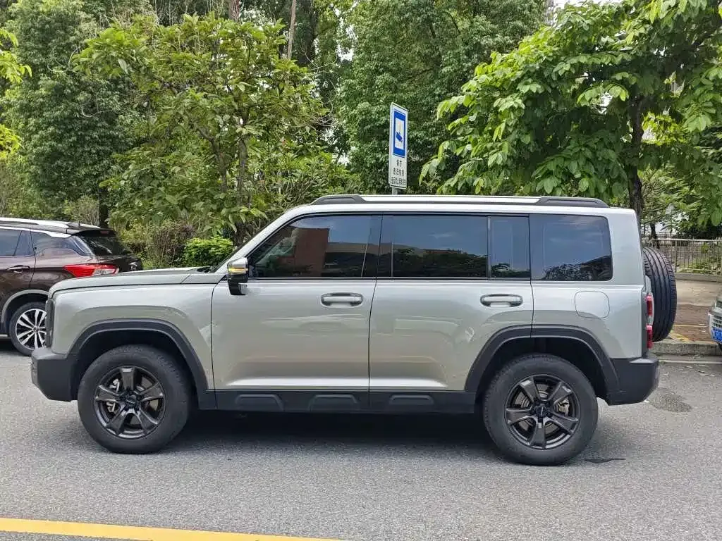 Haval Menglong New Energy 2024 из CN, фото 9