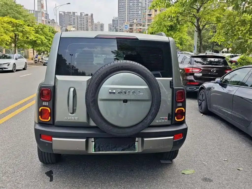 Haval Menglong New Energy 2024 из CN, фото 3