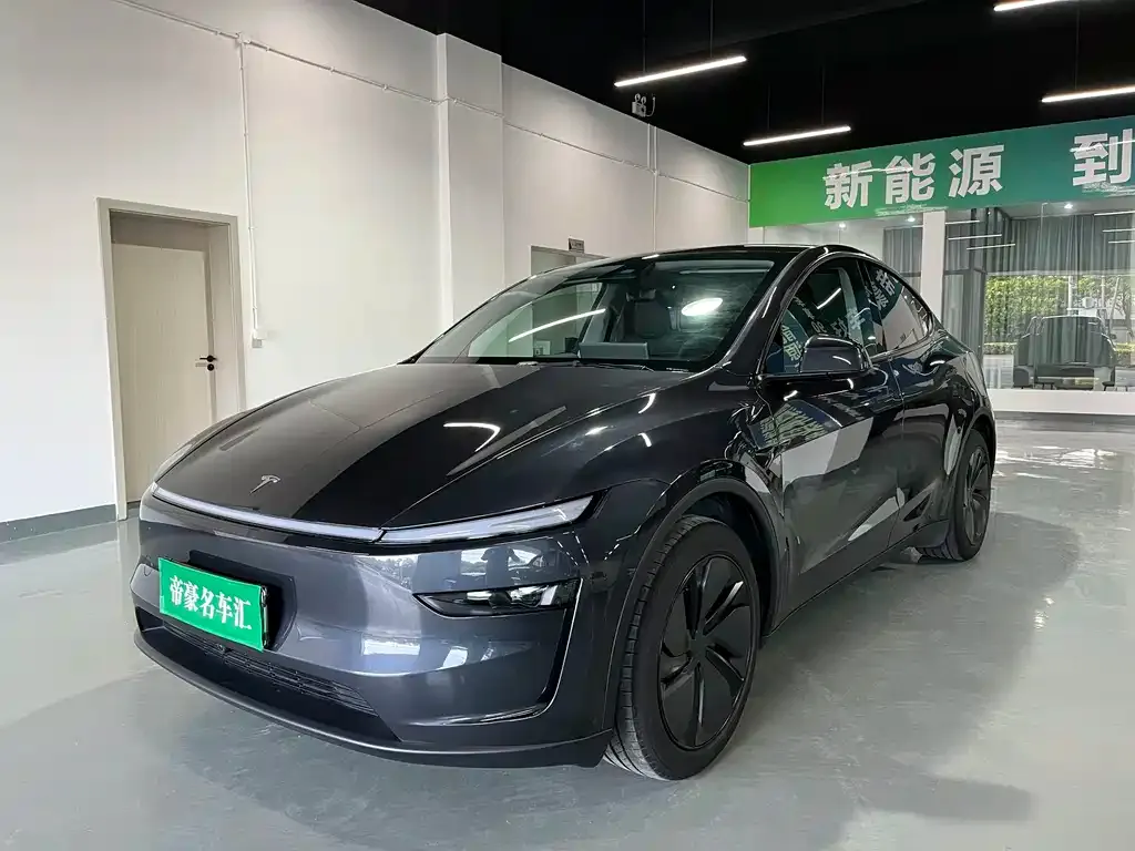 Tesla Model Y — фото 1
