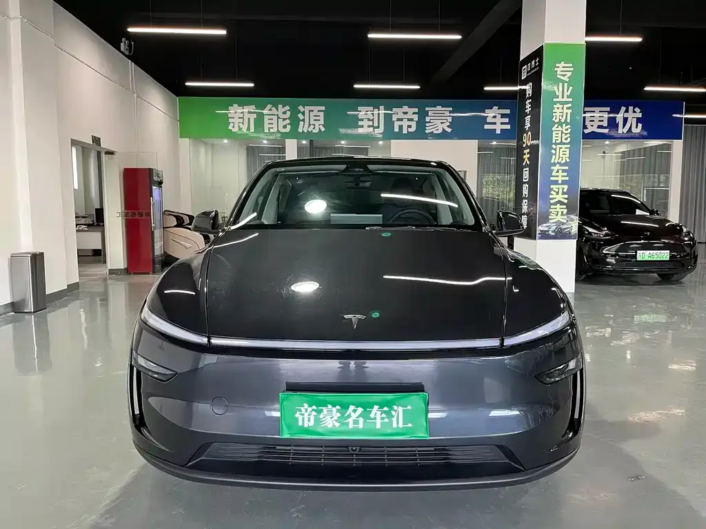 Tesla Model Y — фото 5