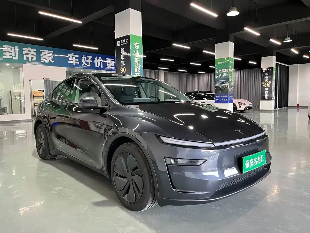 Tesla Model Y — фото 6