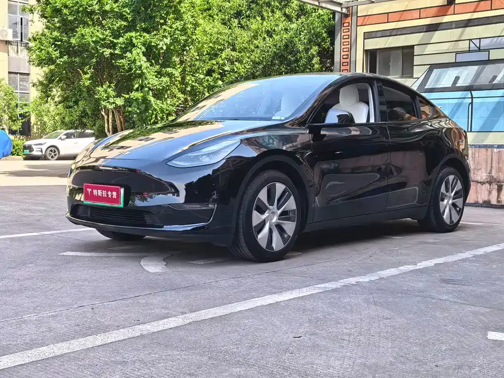 Tesla Model Y 2022 из CN, фото 1