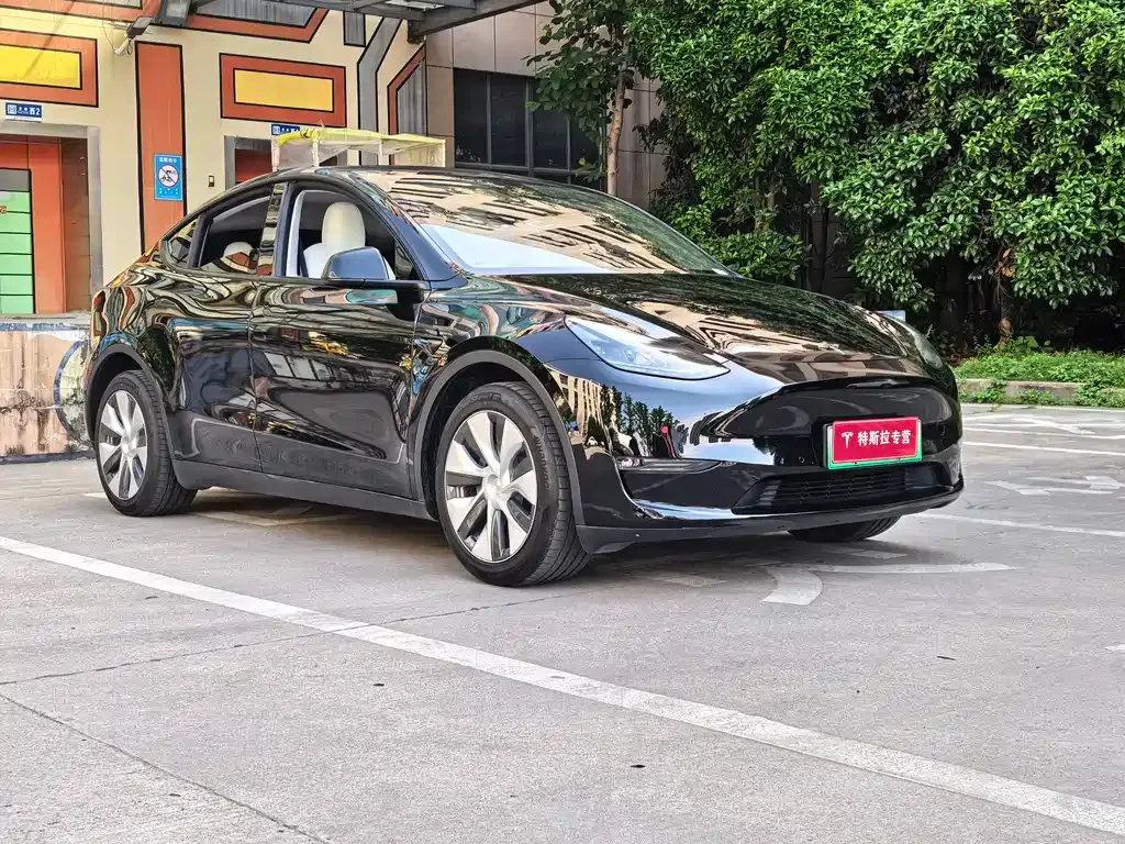 Tesla Model Y 2022 из CN, фото 9