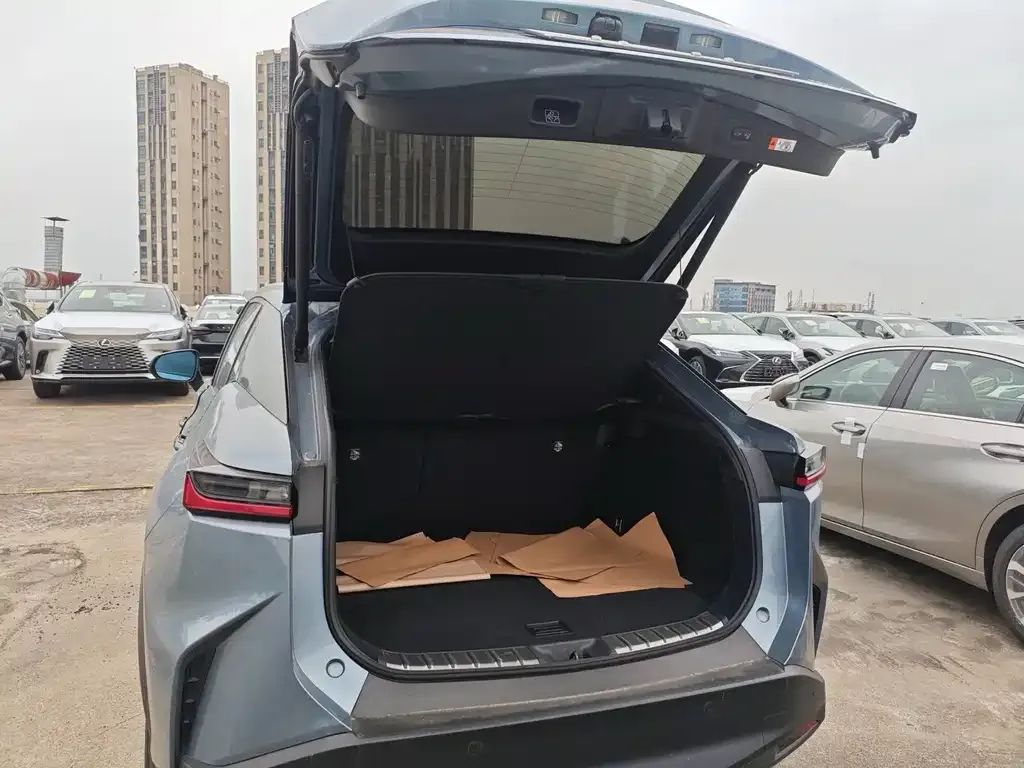 Lexus RZ 2023 из CN, фото 5