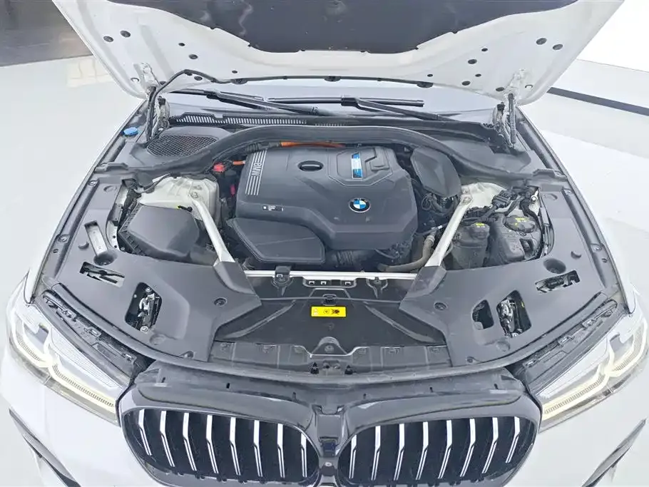 BMW 5 Series New Energy 2021 из CN, фото 9