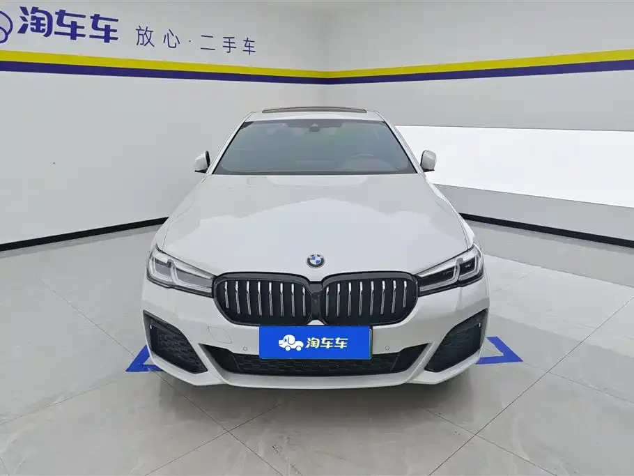 BMW 5 Series New Energy 2021 из CN, фото 8
