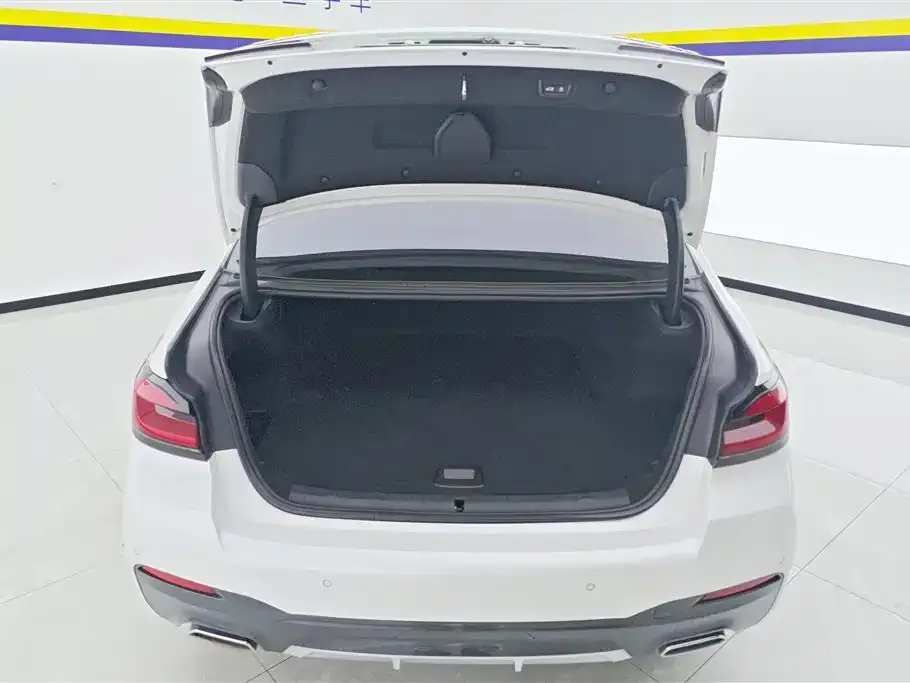 BMW 5 Series New Energy 2021 из CN, фото 2