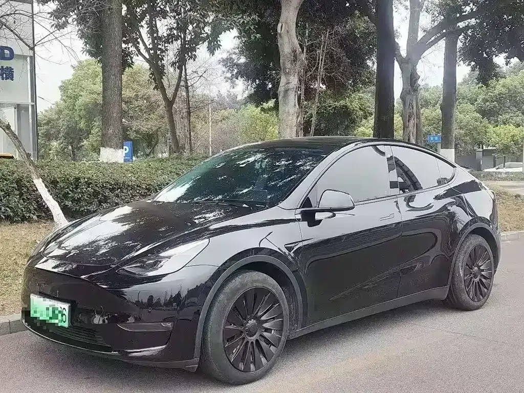 Tesla Model Y — фото 1