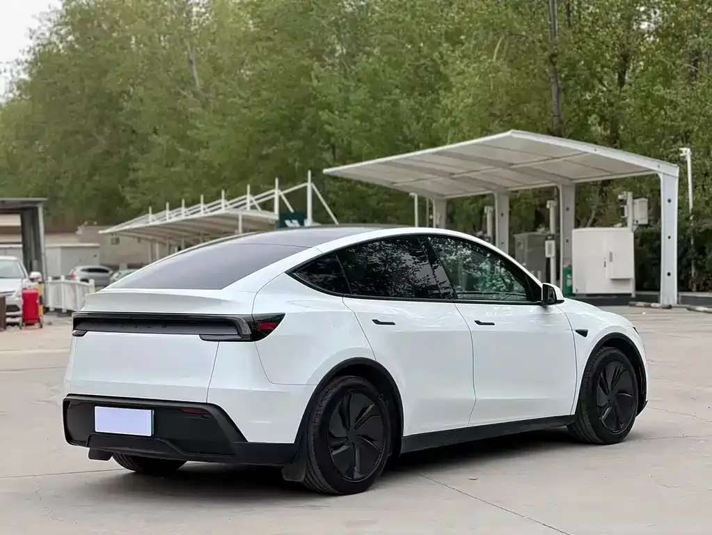 Tesla Model Y — фото 3