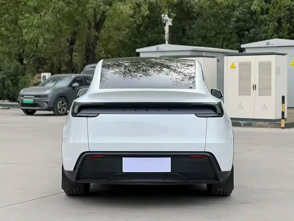 Tesla Model Y — фото 9