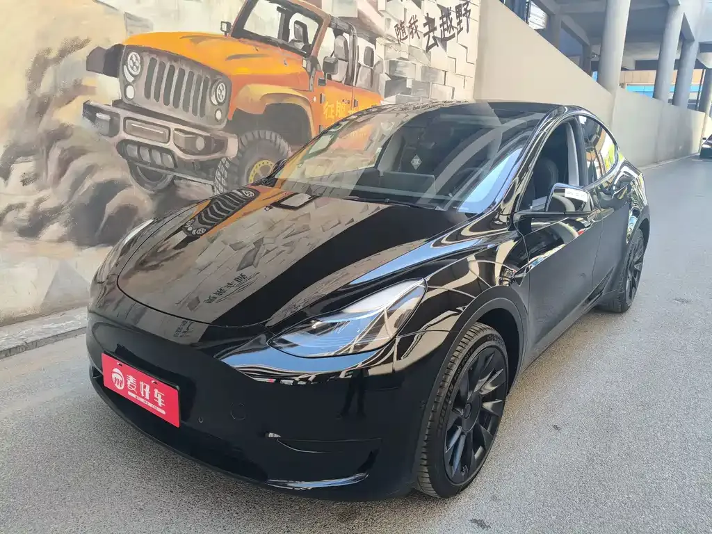 Tesla Model Y — фото 1