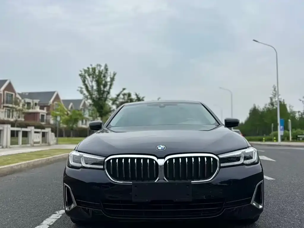 BMW 5 Series 2021 из CN, фото 7