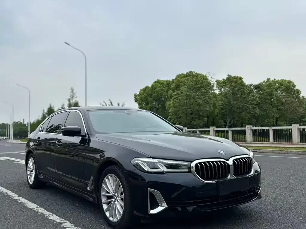 BMW 5 Series 2021 из CN, фото 9