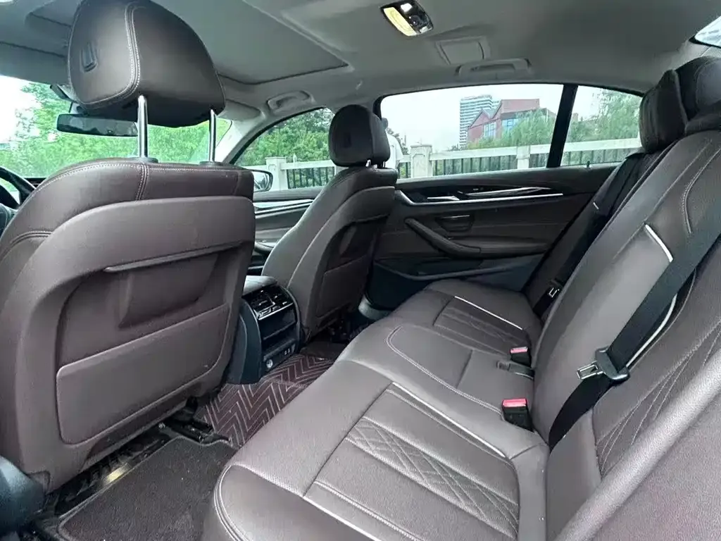 BMW 5 Series 2021 из CN, фото 4