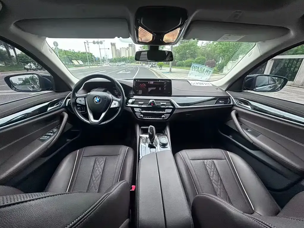 BMW 5 Series 2021 из CN, фото 6
