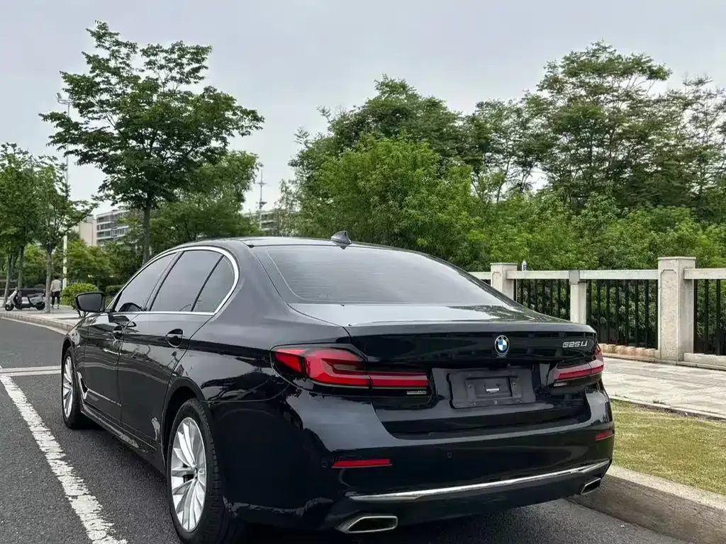 BMW 5 Series 2021 из CN, фото 5