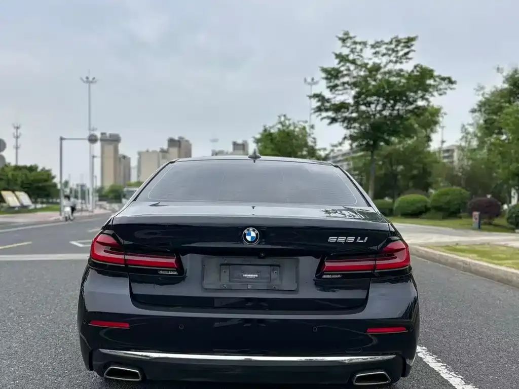 BMW 5 Series 2021 из CN, фото 3